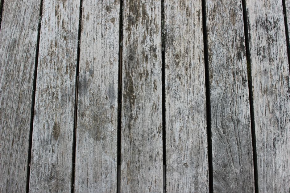 Trallvirke: så väljer du mellan tryckimpregnerat, lärk, värmebehandlat och komposit